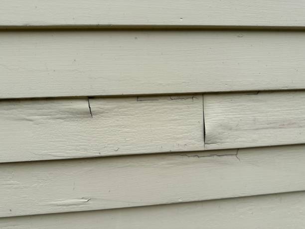 Shed Removal in Medina, TX